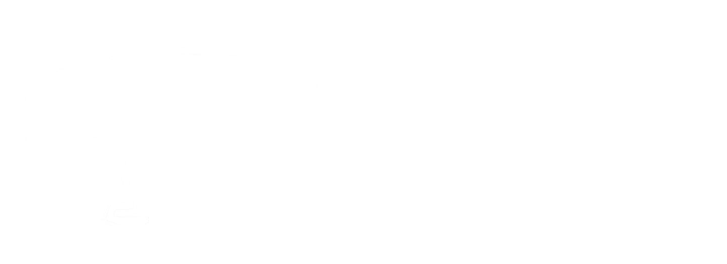 Beartown Vibes